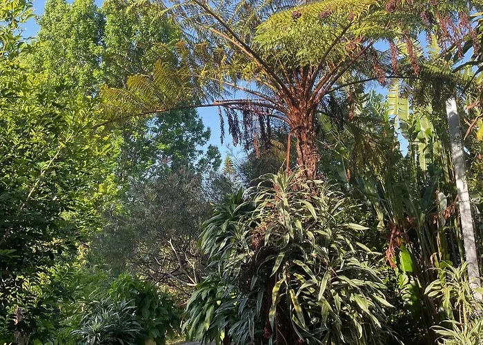 Manuka Getaway