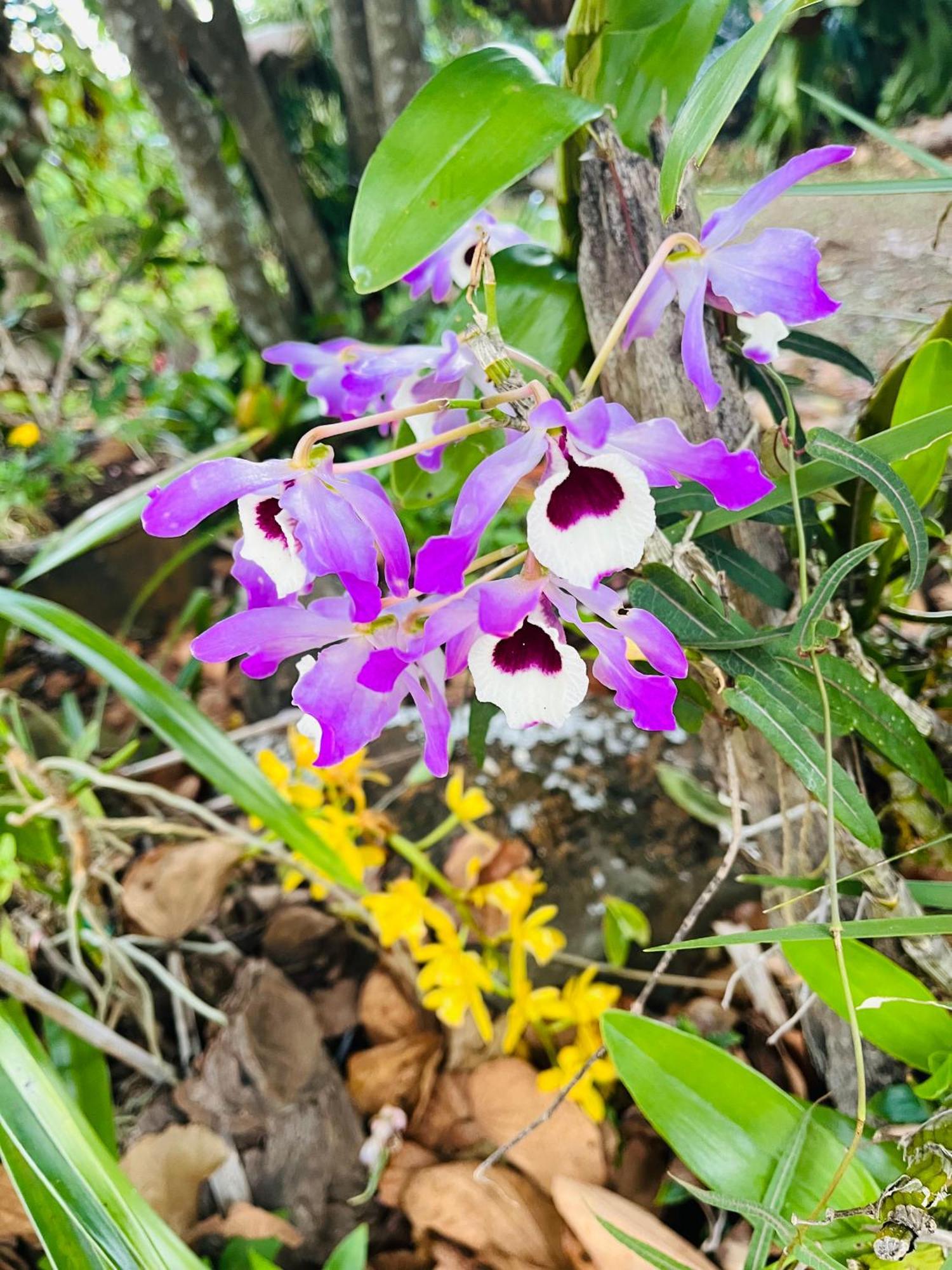 Manuka Getaway Maleny