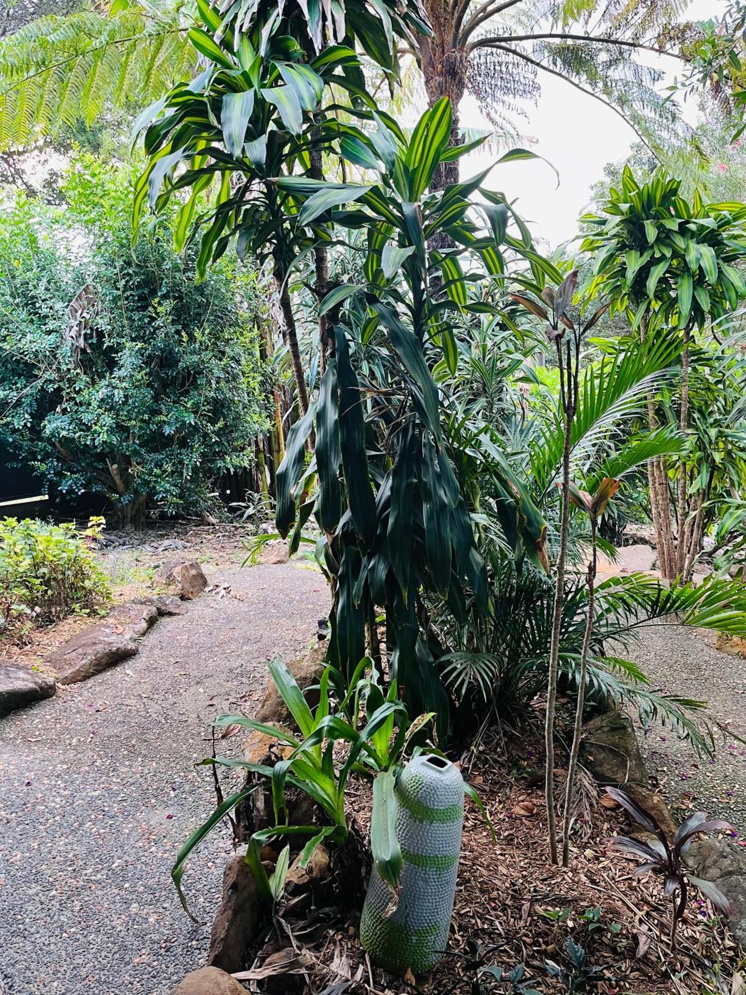 Manuka Getaway