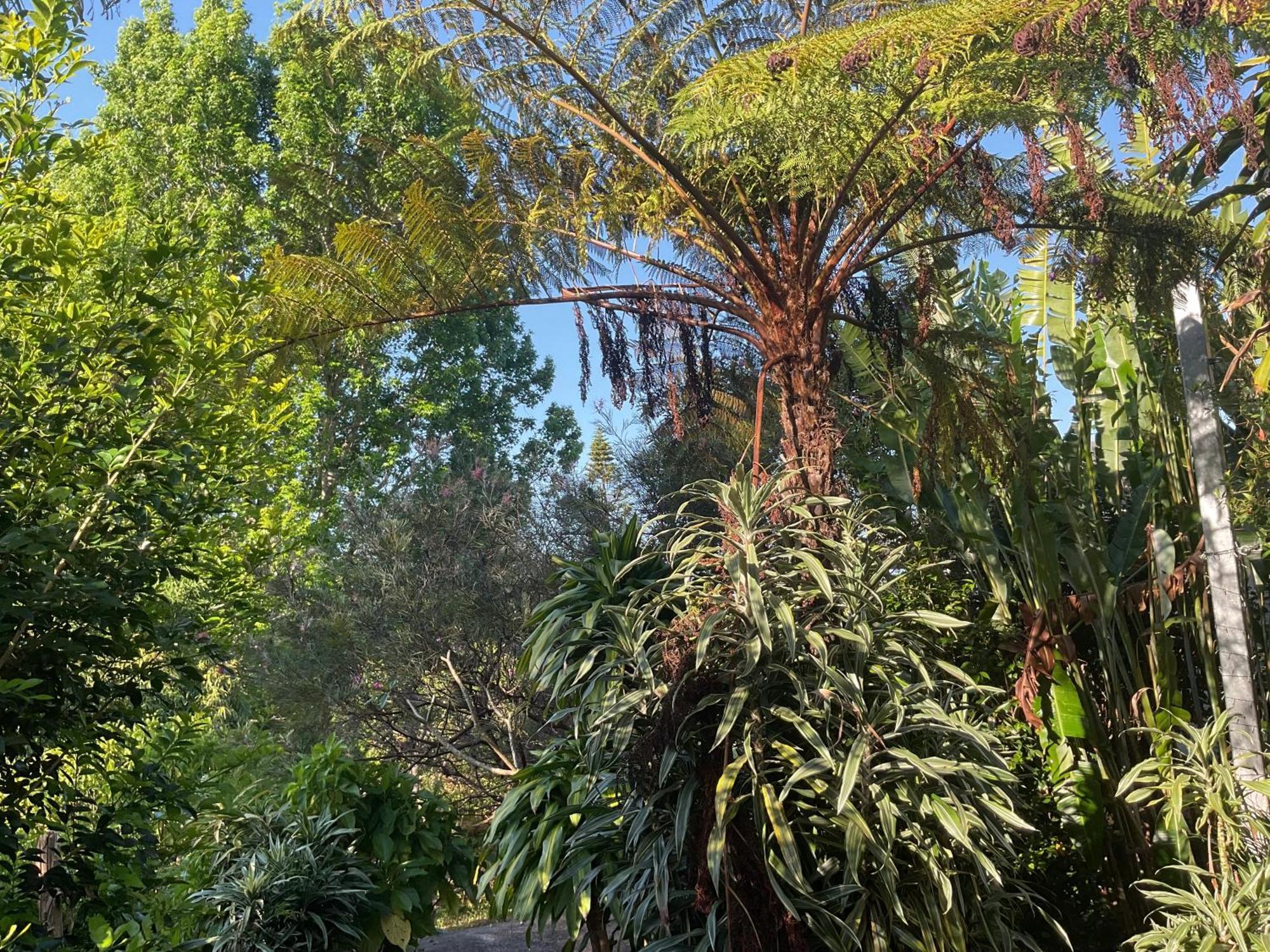 Manuka Getaway *
